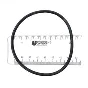 2.5" PUMP UNION ORING