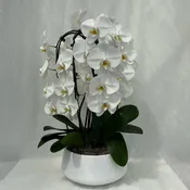 14″ Cascading Orchid Round Bowl