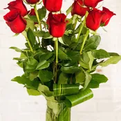 The Modern Dozen (Red)