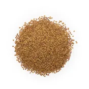 Alfalfa Seed - Whole (Organic)