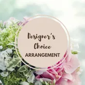 Designer’s Choice