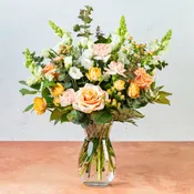 Peaches and Cream