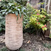 Antique Ring Urn