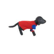 Blue Sports Jacket for Dogs