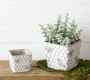 embossed Cement Hive and Bee Planter