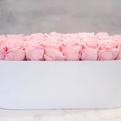 Pink Roses in Oval White Container