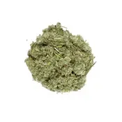Horehound - Organic