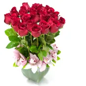 2 dozen Roses with Pink Orchids