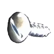 #477 License Plate Screws Slotted