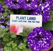 Plant Land Gift Card