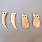 Bone Teeth
