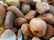 Agate, Botswana - Tumbled