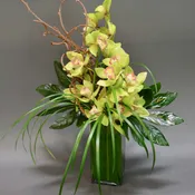 Orchid Fabulous