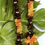 Cigar/Kukui & Ti leaf Lei