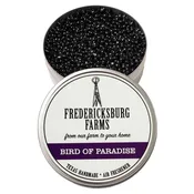 Bird of Paradise Fragrance Tin