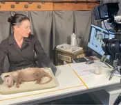 Pre-Recorded: Skinning & Tanning