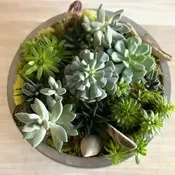 HOUSE BOTANICA