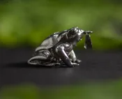 Pendant – Round Frog From India