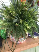 Grasses Galore