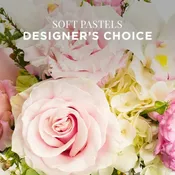 DCS - Designer's Choice 99+