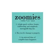 10" x 10" SIGN - ZOOMIES