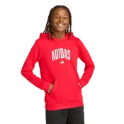 adidas Codes Collegiate Graphic Hoodie