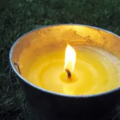 Citronella Fragrance