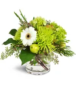 Green Christmas!™