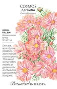 Apricottta Cosmos Seeds