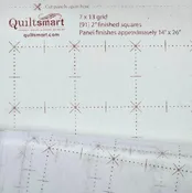 2.5 Inch PiXel Grid Panel by Quiltsmart Sold by the Panel