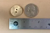 Agoya Shell Opalescent Button
