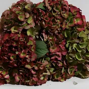 Green and Red Antique Hydrangeas