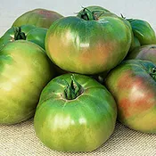 Ananas Noir Tomato