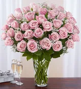4 Dozen Pink Rose Vase