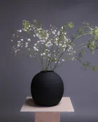 Sleek Black Interior vase