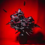 Liliths Love - Halloween Collection