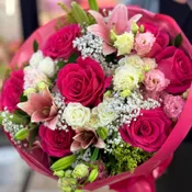 Pink Lily Romance.       The photo shows a standard size.