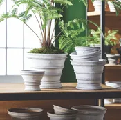 Wakefield Johnson Planters — West End Collective