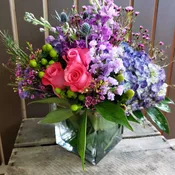 Bloom by Kokee