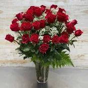 50 Red Roses - Classic Long Stemmed Rose Floral Arrangement