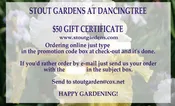 Gift Certificate $100
