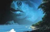 Aamakaar - The Turtle People