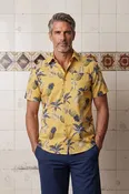 b ANANAS