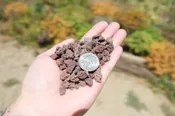 1 Lb 3/8 Red river rock Cactus and Succulent Top Soil Dressing