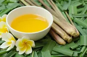 Citronella — Pierpoint Candle Company