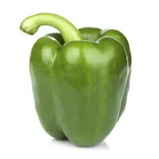 Alliance