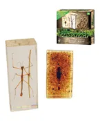 Discover with Dr. Cool The Bug Kingdom Camouflage Kit