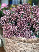 13.5" Blush Berry Bundle, Maroon