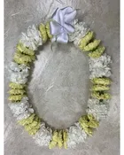 Carnation Lei