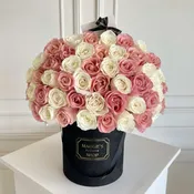 MFS Vendella x Hermosa Rose Box